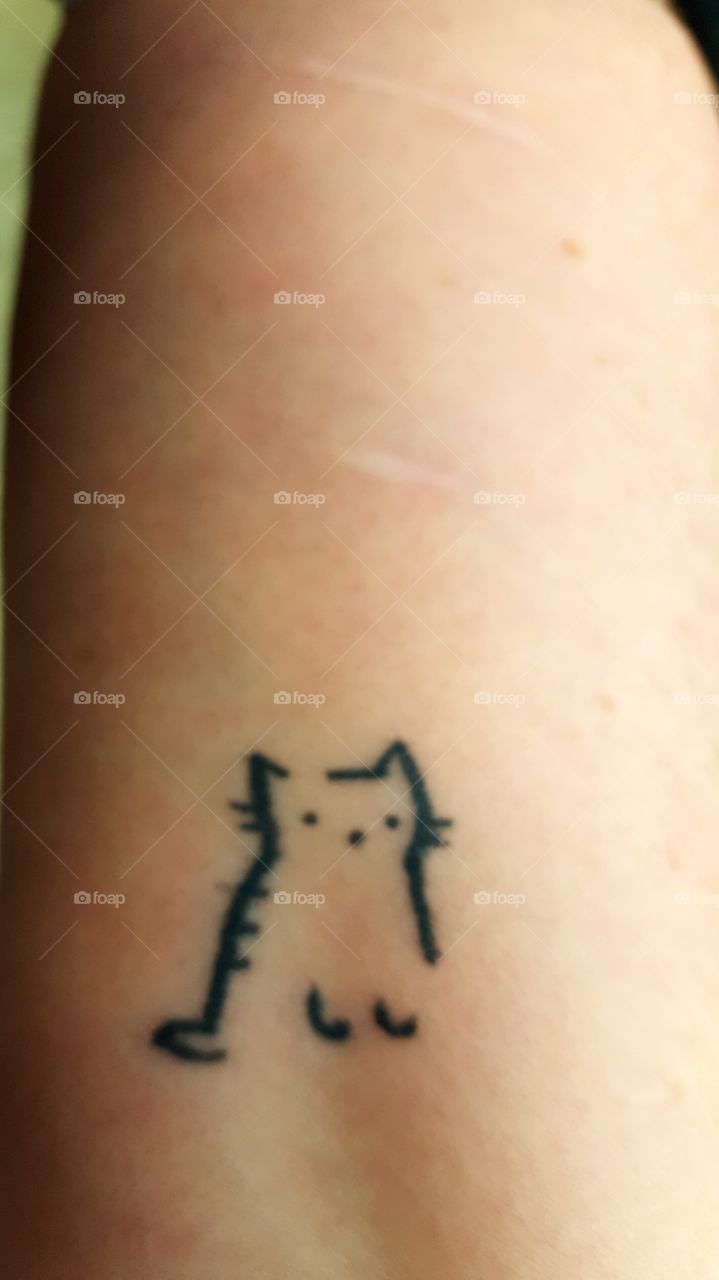 love for the cause of pain
scars caused by a cat's scratches above a minimalist cat tattoo