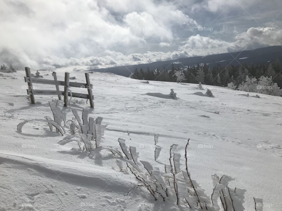 Snowy landscspe on a Mountain