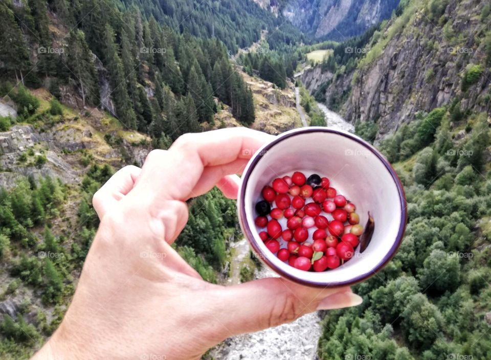 Mountain berries, Naters, Switzerland