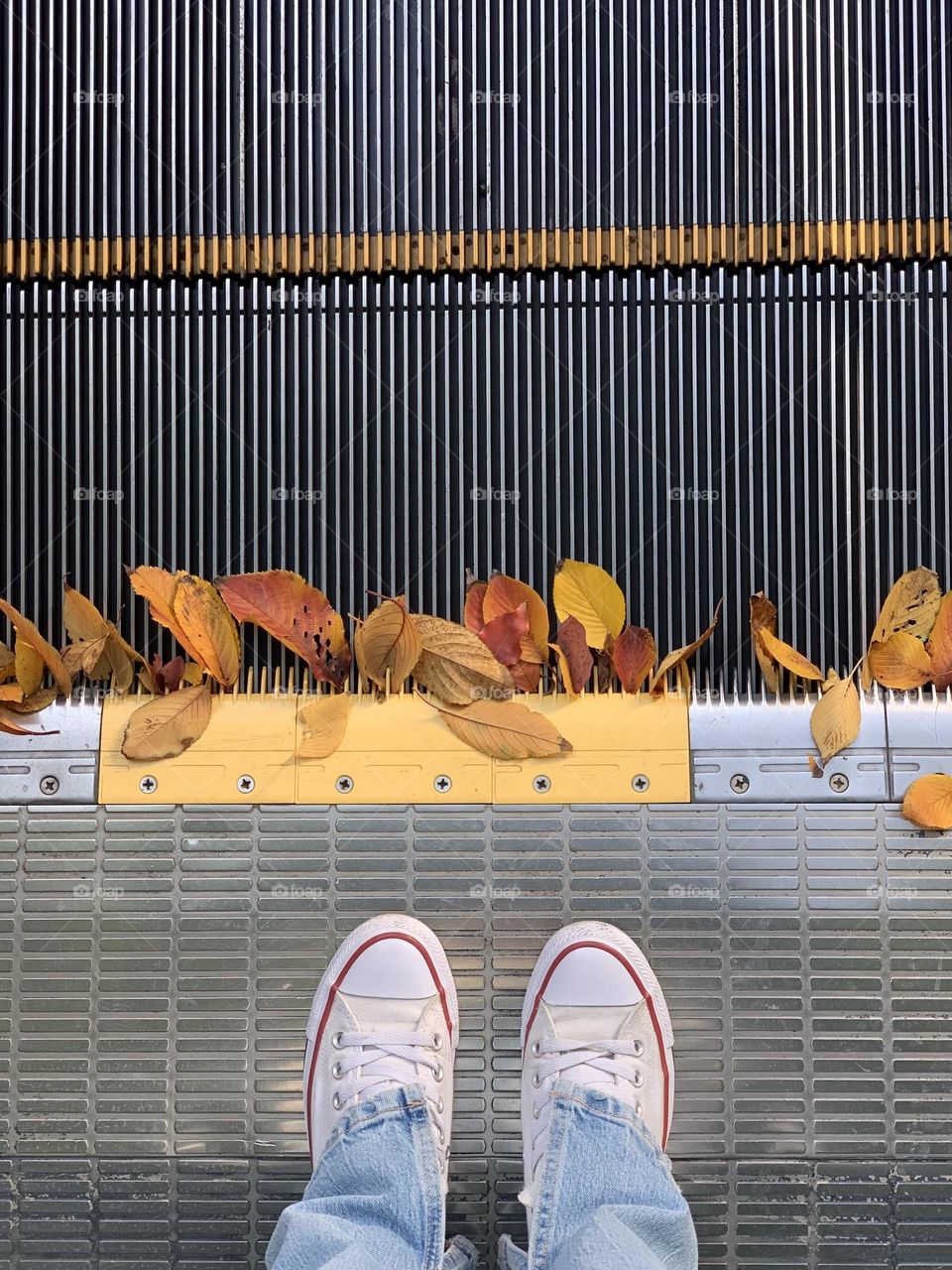 Sneakers and fallen leaves 