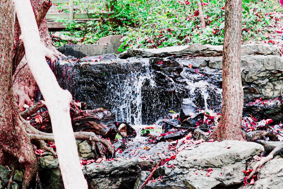 waterfall with fall leaves