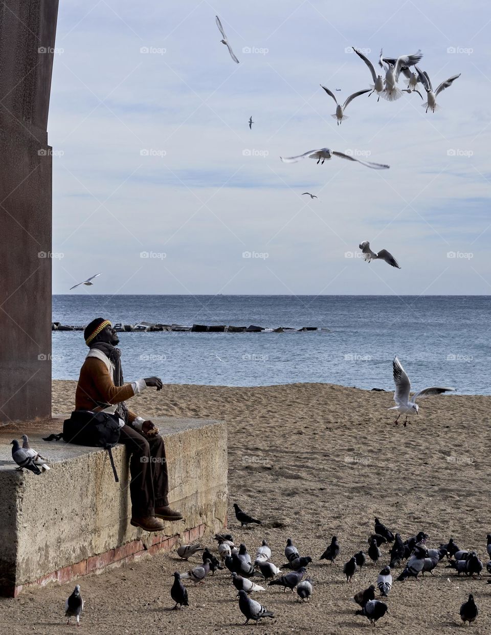 Man fearing Pigeons and Seagulls at the Beach. Barcelona.  