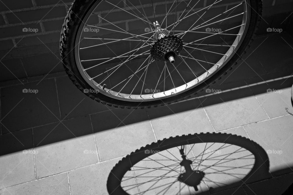 Black and white bike wheel and it’s shadow