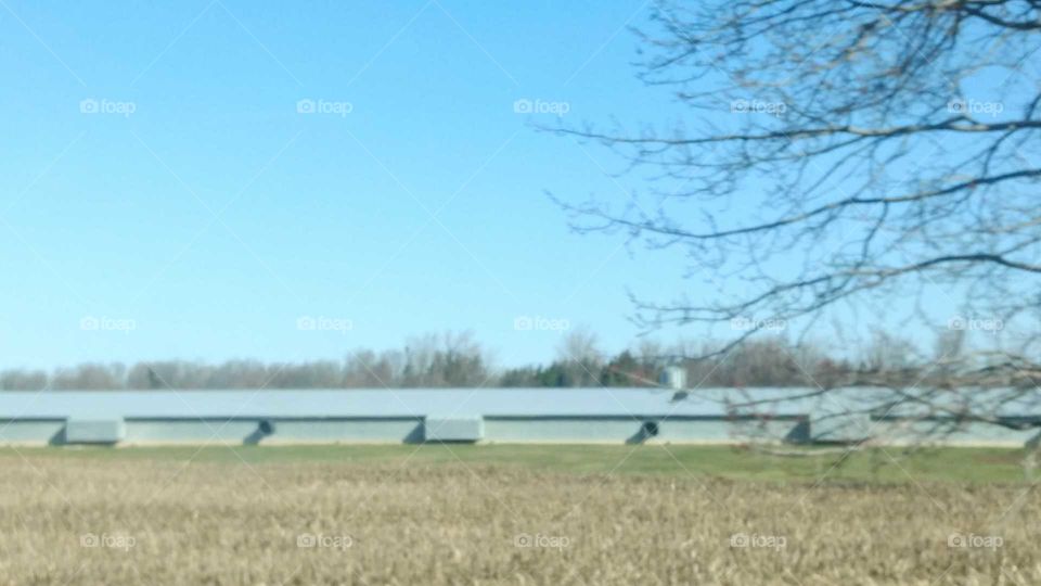 Landscape, Agriculture, Field, Farm, Outdoors