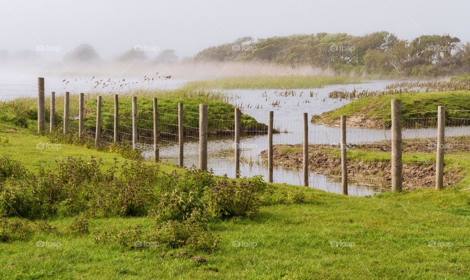 Misty morning on the marshy meadows