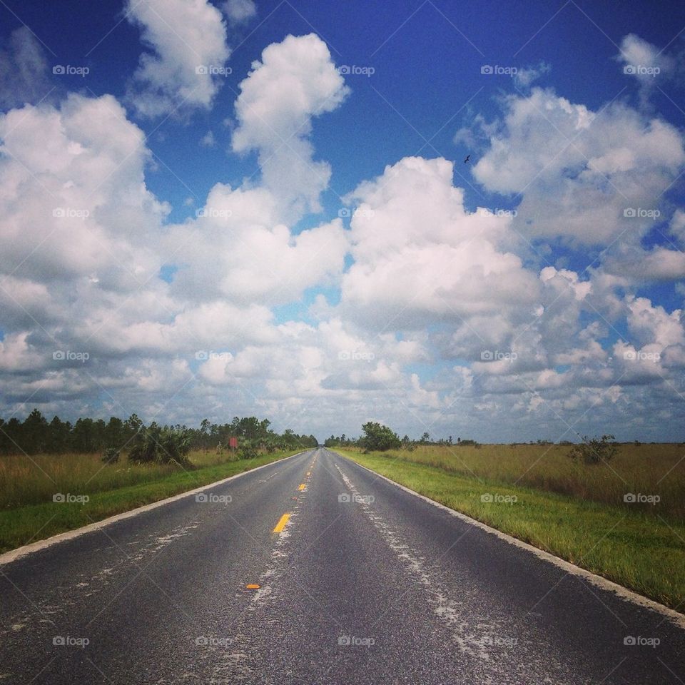 Street of the everglades