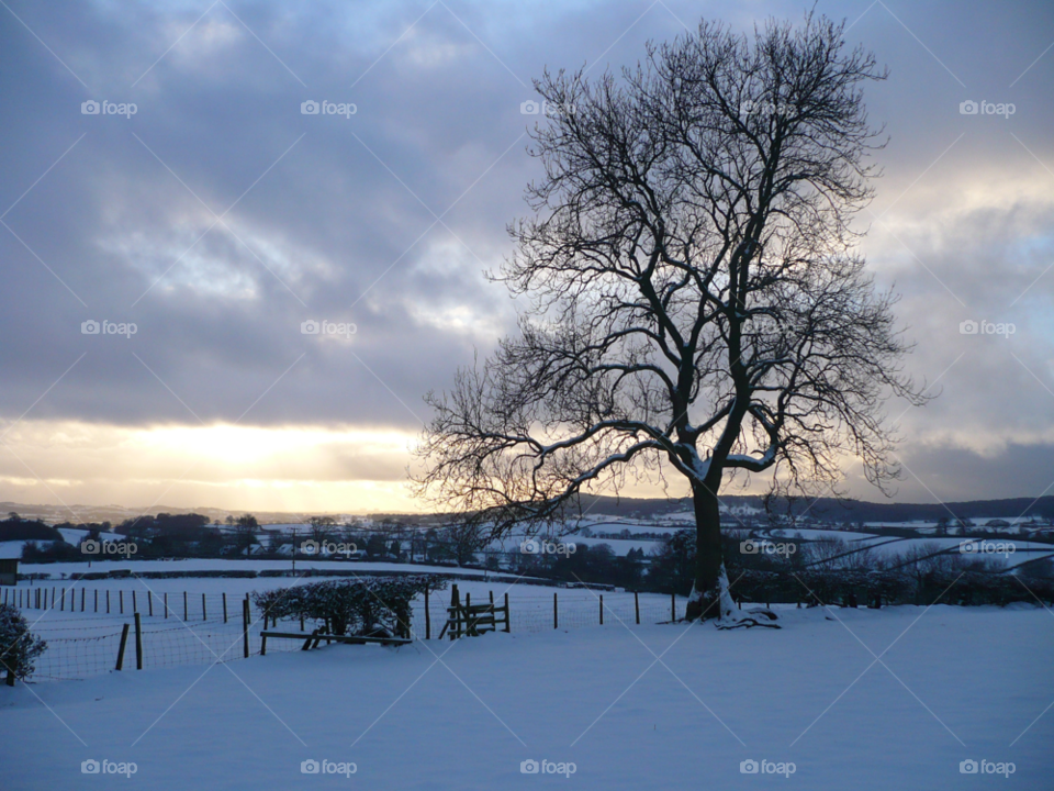 snow winter sky field by TurdOnTheRun