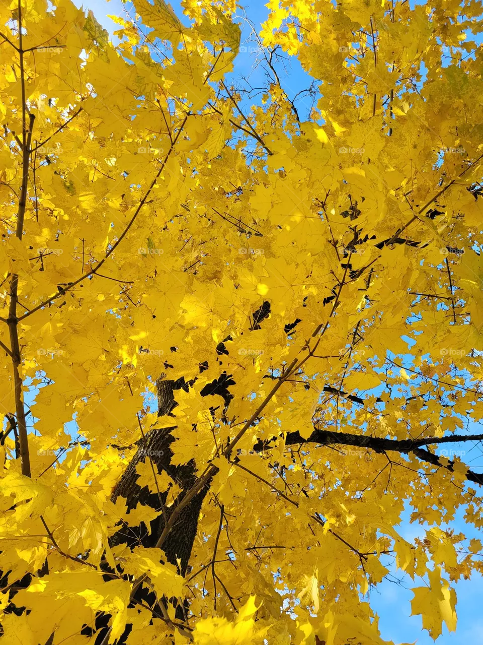 nature
