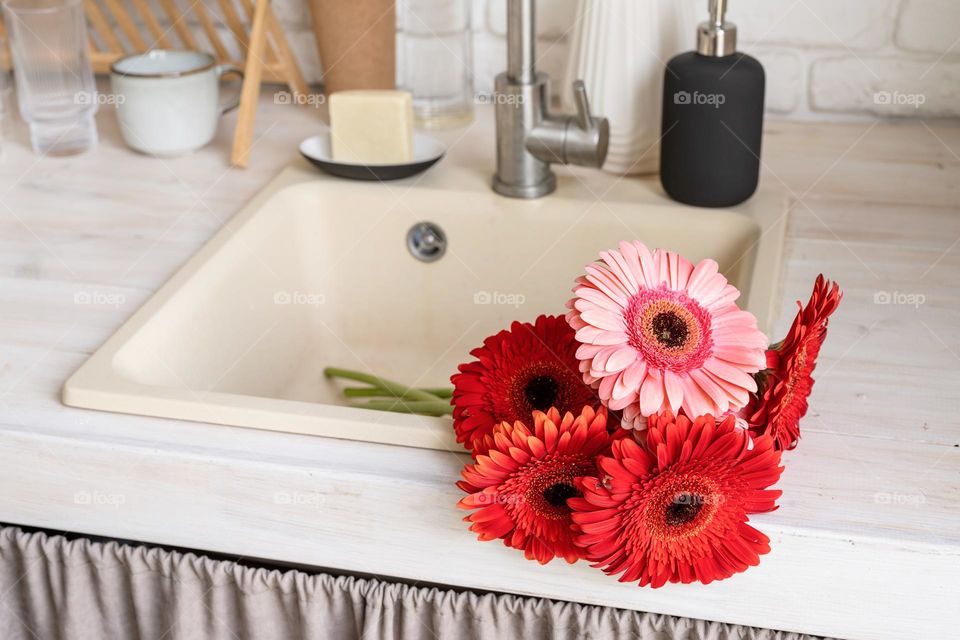 gerbera flowers