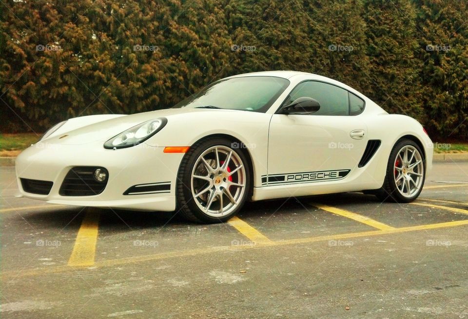 Porsche Cayman R. Porsche 