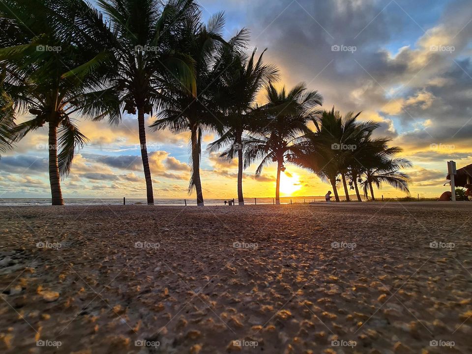 Landscape of beautiful and amazing sunset on the beach with palms and clouds colored by the sun.