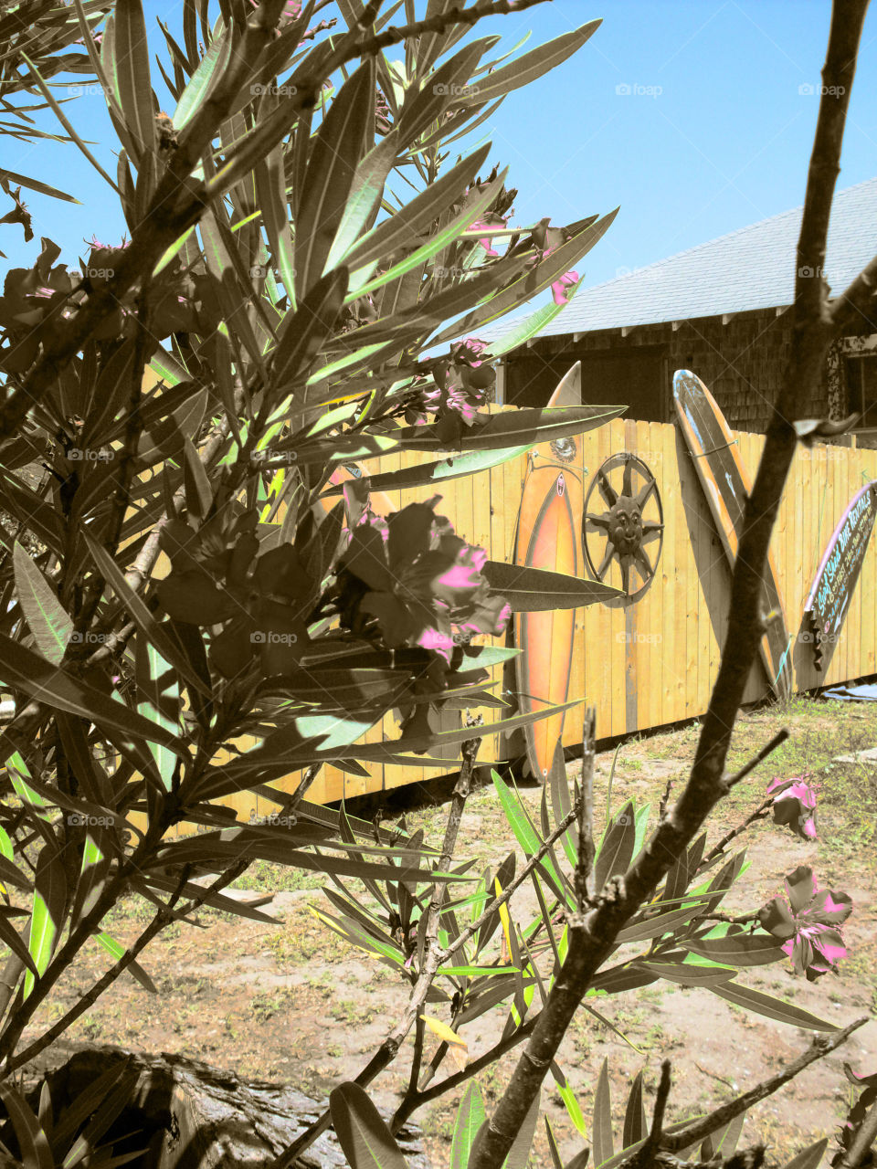 Backyard Paradise - Artistic