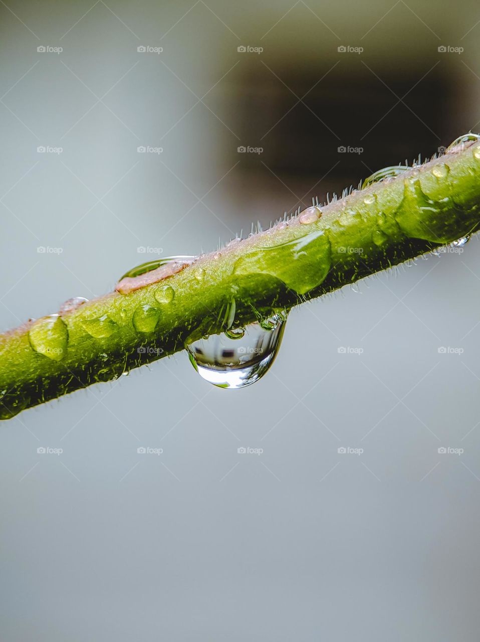 waterdrop