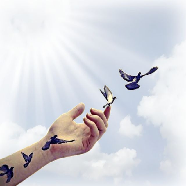 freedom