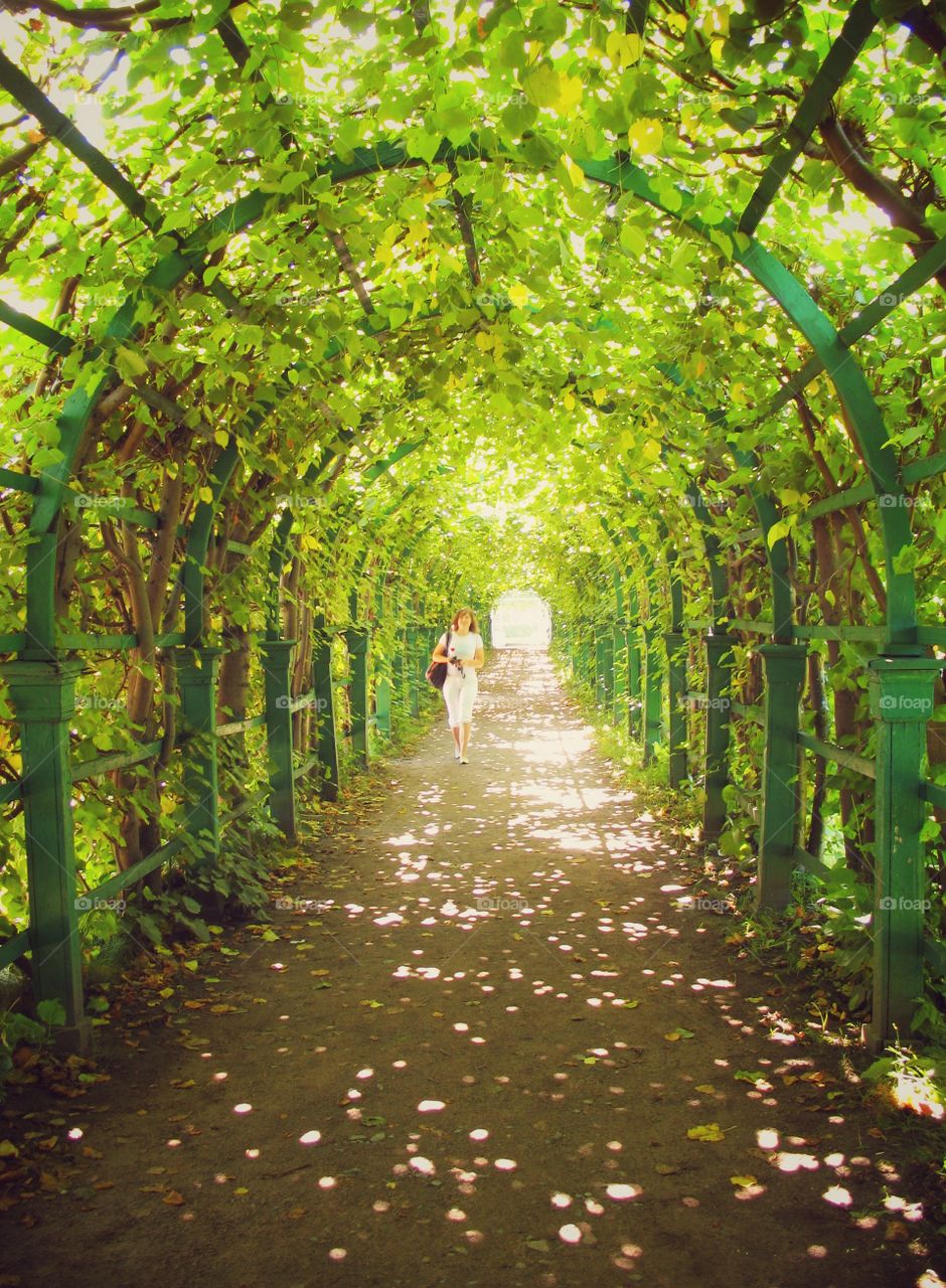 A garden tunnel in Peterhof palace, St Petersburg, Russia