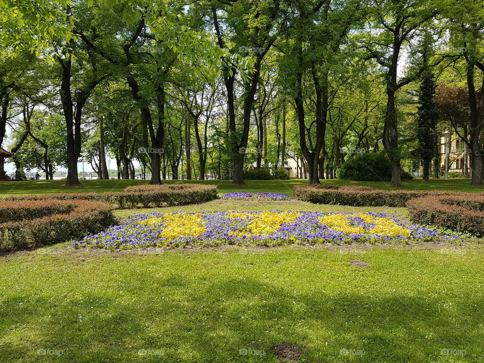 Flower garden in a park