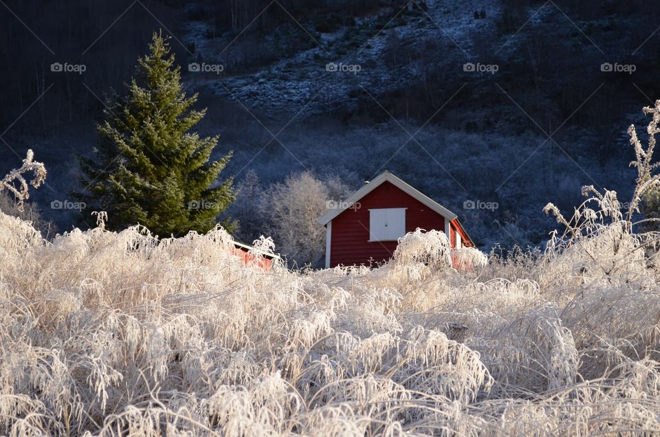 Moods of Autumn, first frosty night