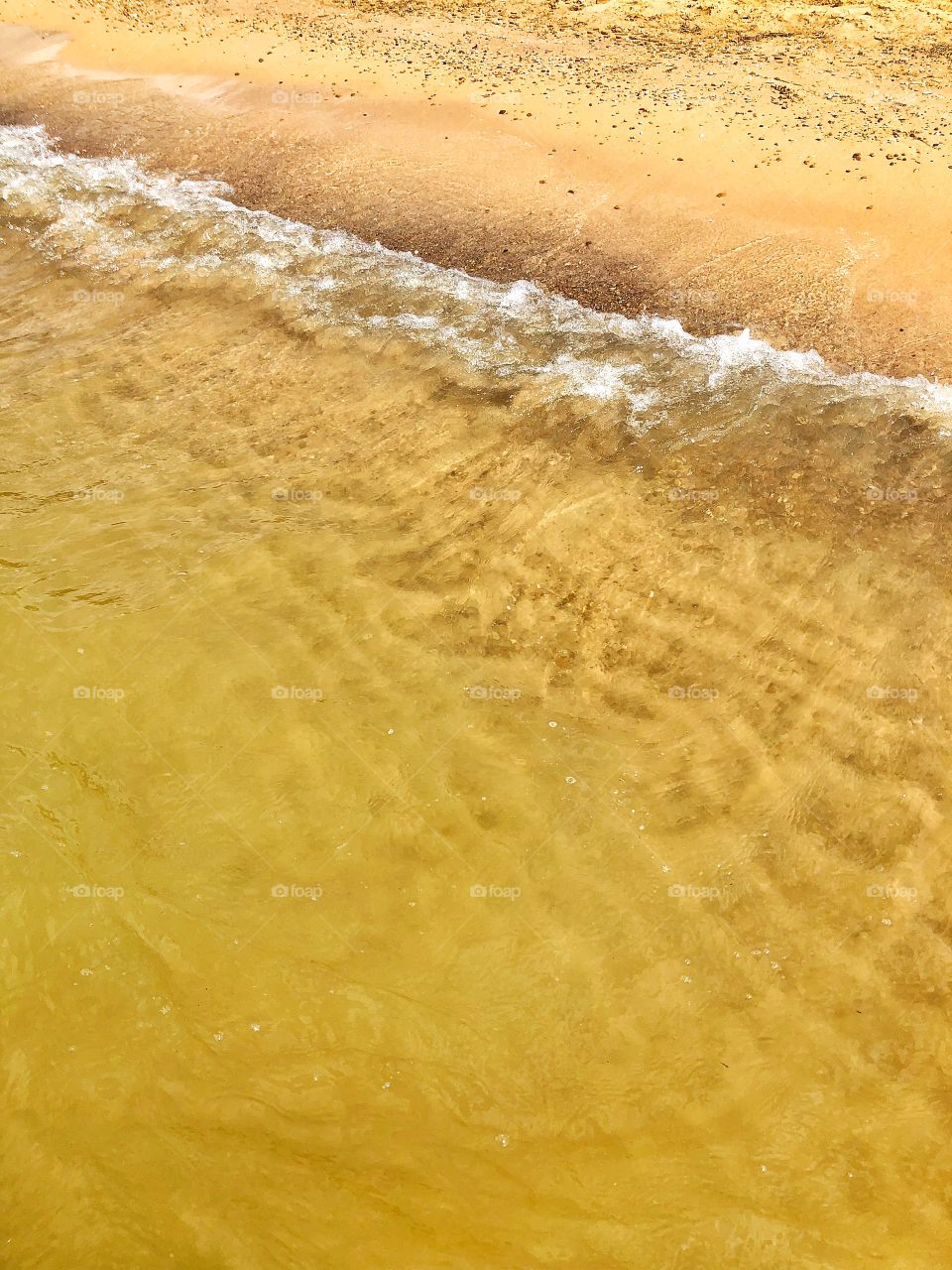 Golden sandy shores of Fresh water. 