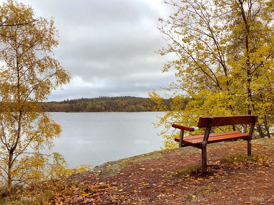 The bench