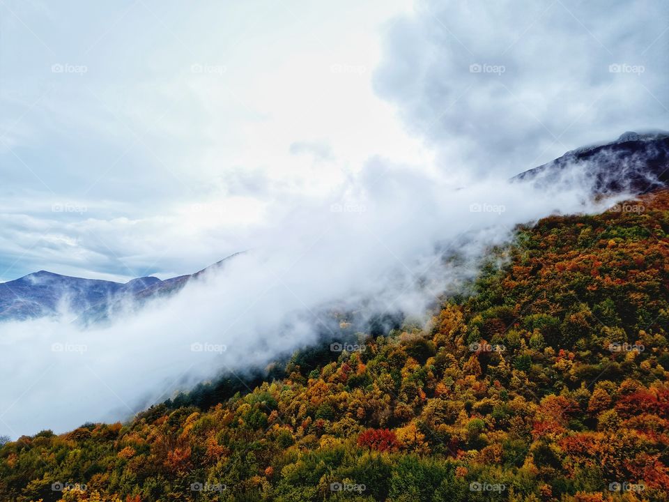 mist slowly rises over the mountain