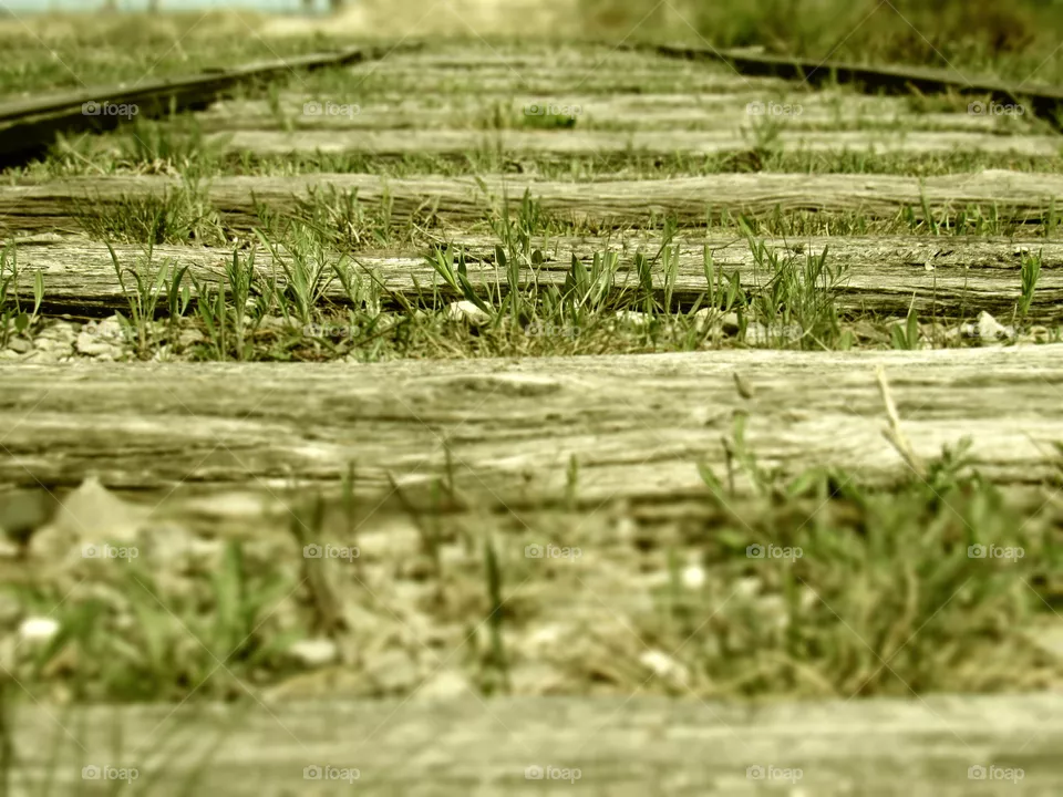 Railroad tracks 