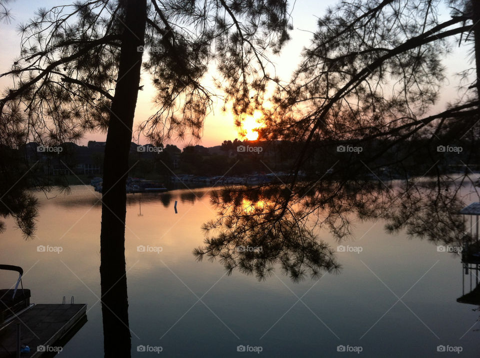 sky flowers trees lake by wiggygirl