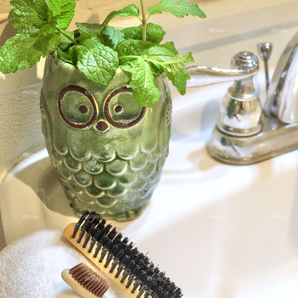 Owl planter with natural toothbrush and hairbrush, sustainable 