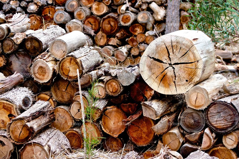 Wood pile.