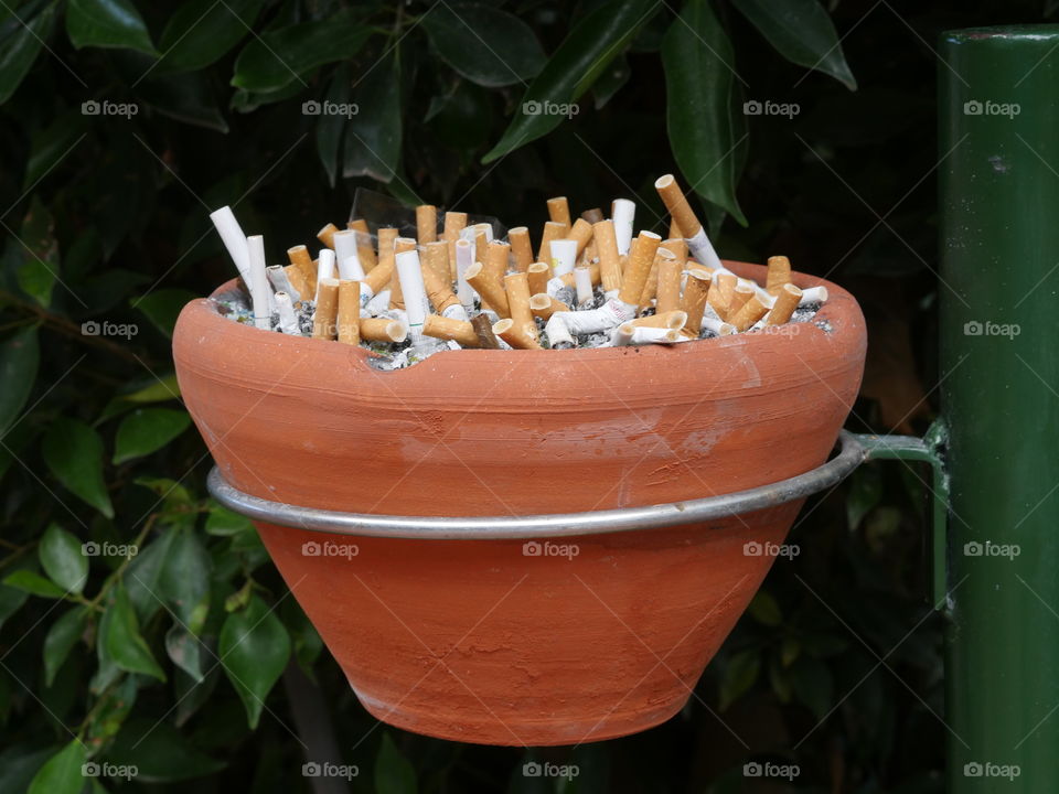 Cigarette Butts Smoking
