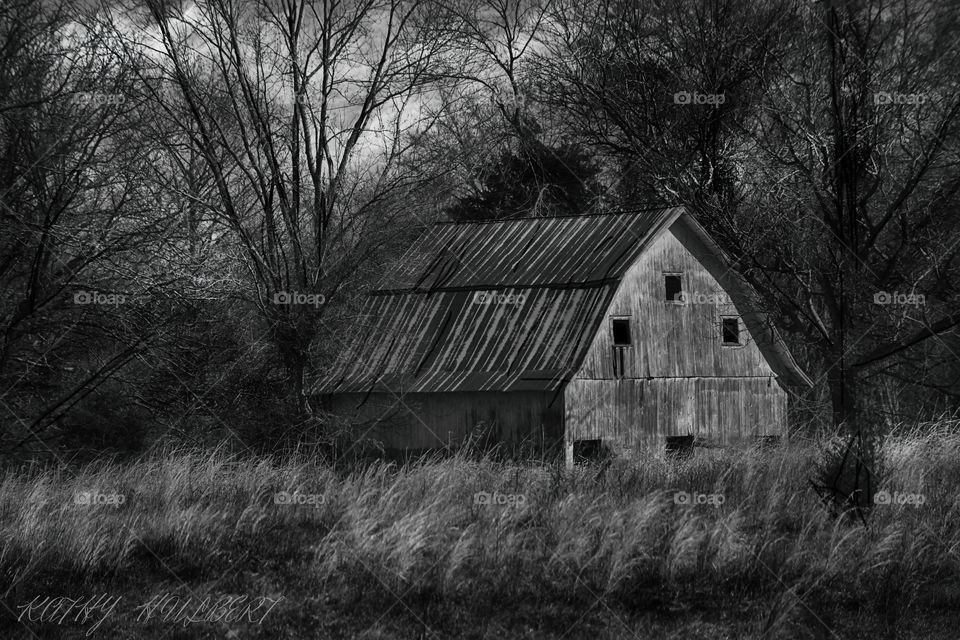 Old Barn Black N White