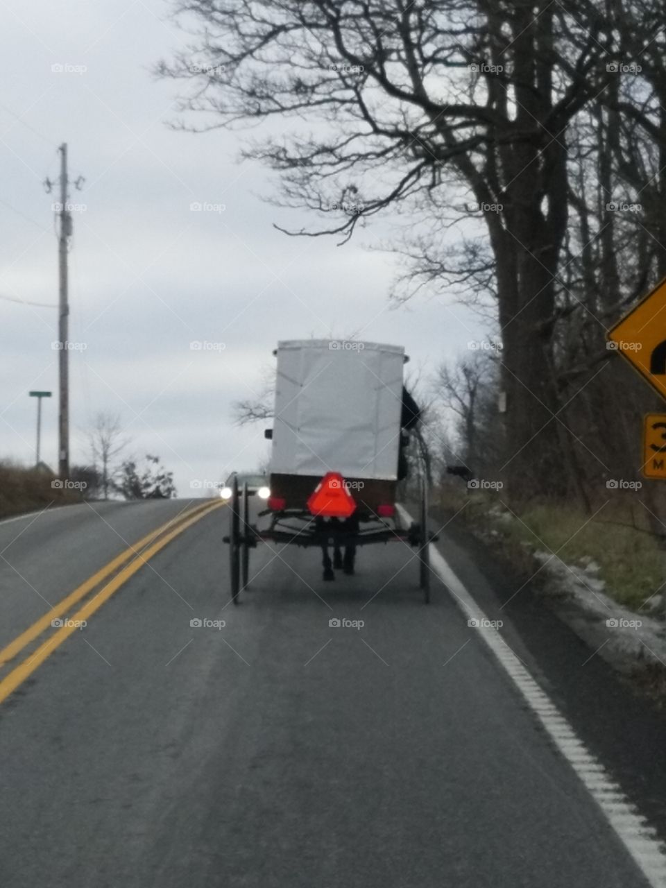 Amish life