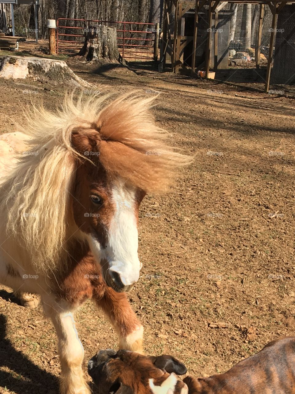 Running with the wind 