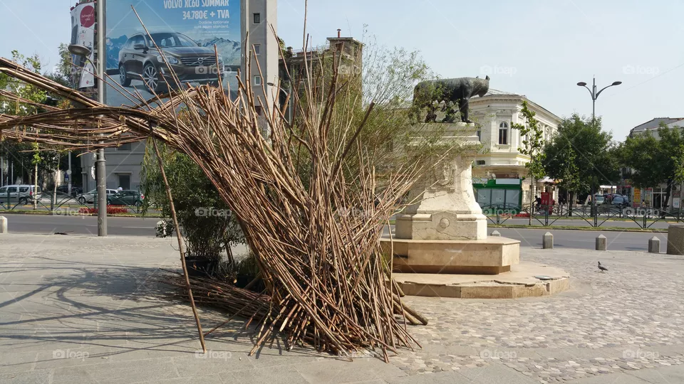Twigs