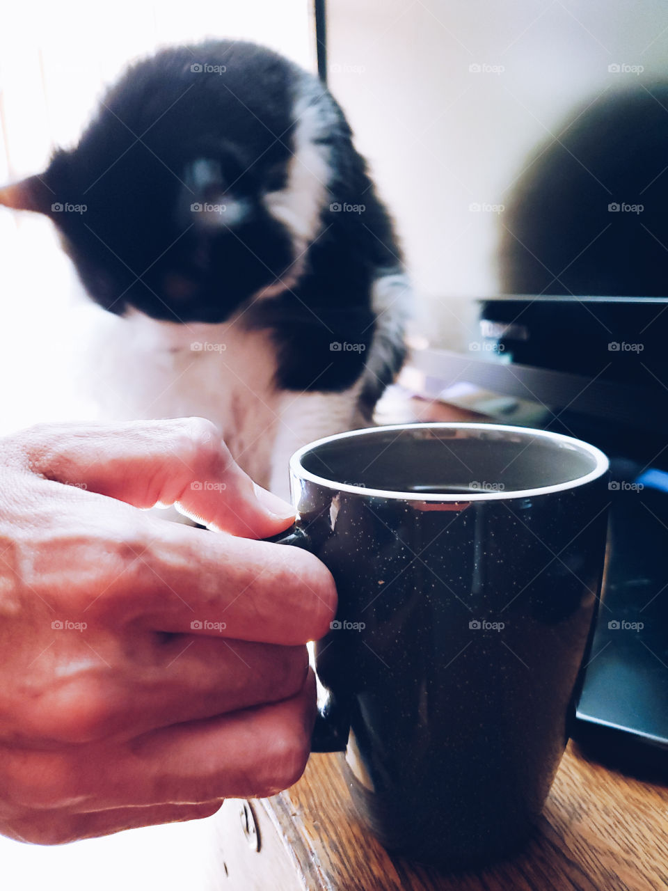 Living with pets! Morning cup of Joe in good company!