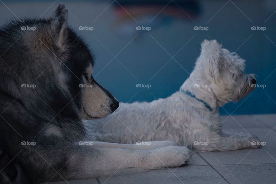 Look out for Das Boot