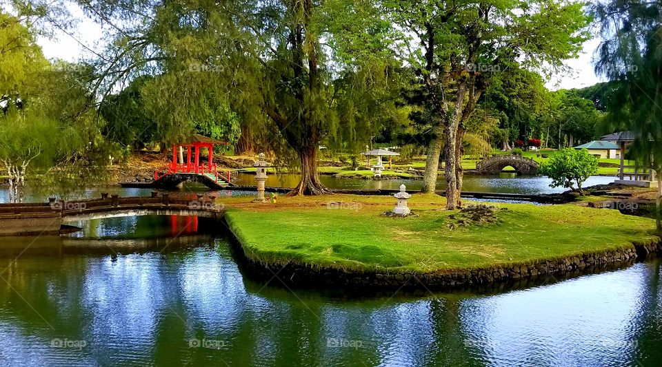 Hilo Hawai'i landscape tea garden