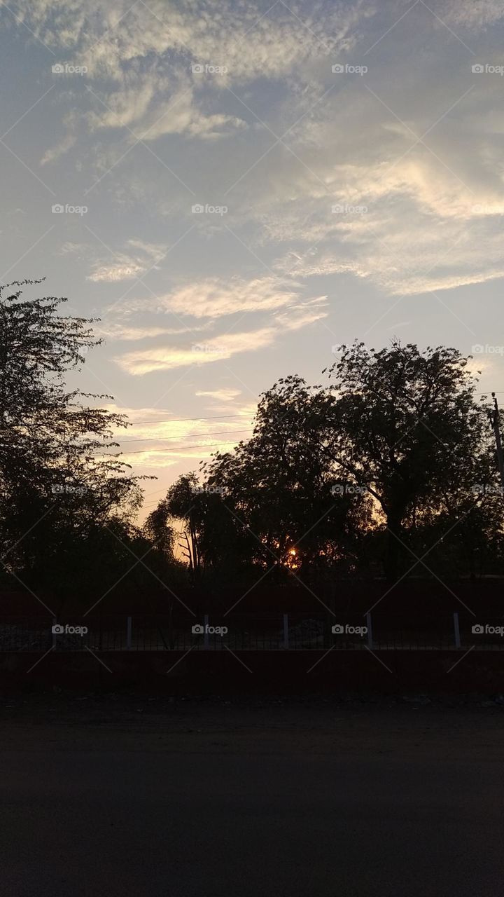 a Sun set scene whites cloud scattered dark tree looks very beautiful, slightly yellow and shining, looks very beautiful