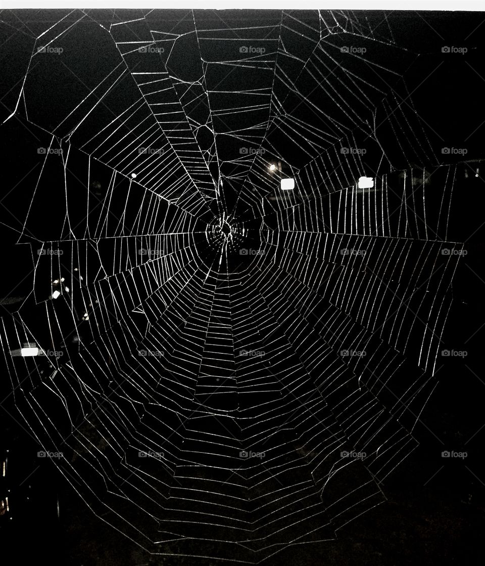 web