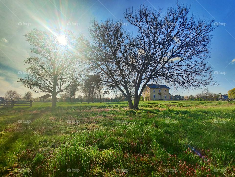 Farmstead