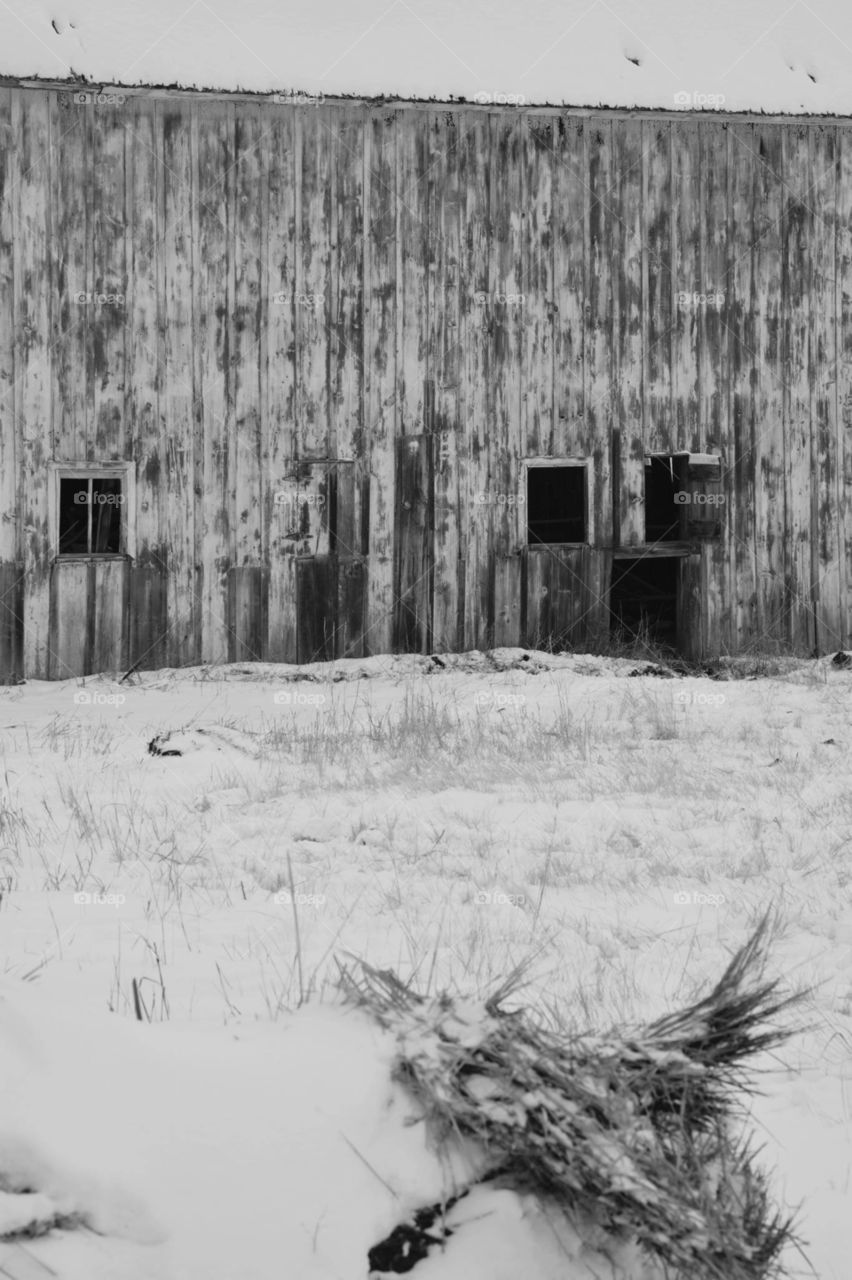 Old homestead barn in winter