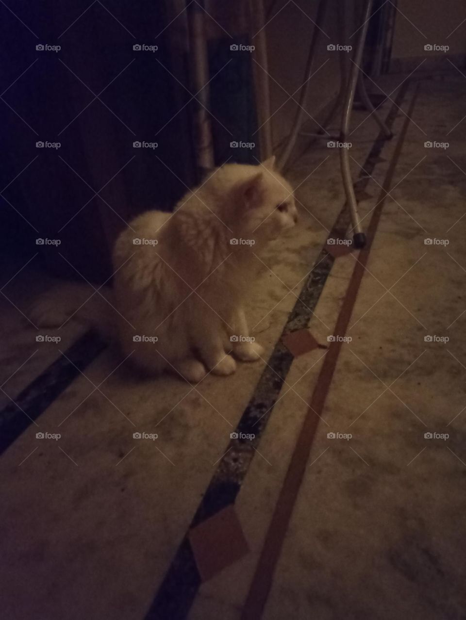 is there anyone there