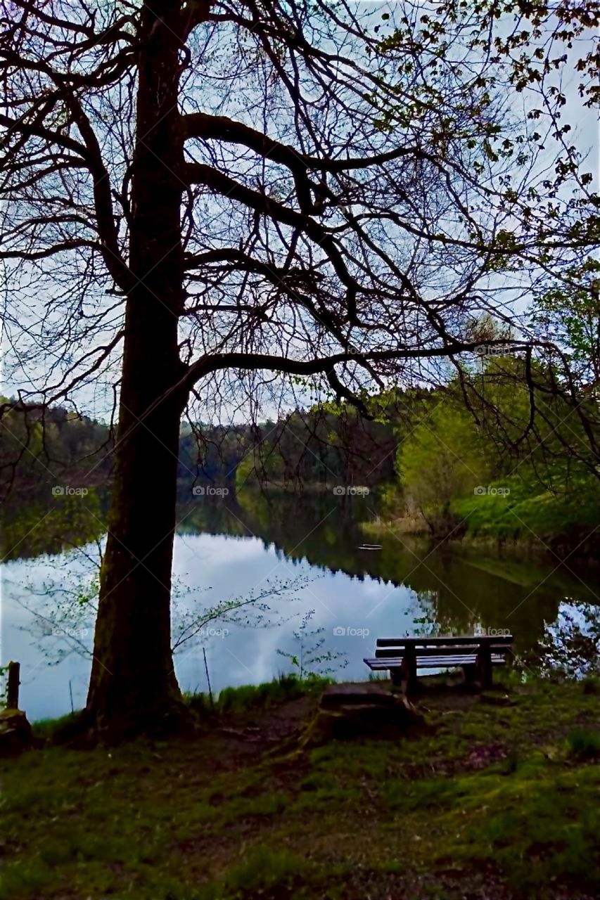 This is the “Eging Lake”, the “Eginger See” in the “Bayerischer Wald”, the “Bavarian Forest” near the town of “Eging”. The mountain lake is perfectly clear and still and renders a beautiful mirror image of its surroundings. 2024. Hypnotic Productions