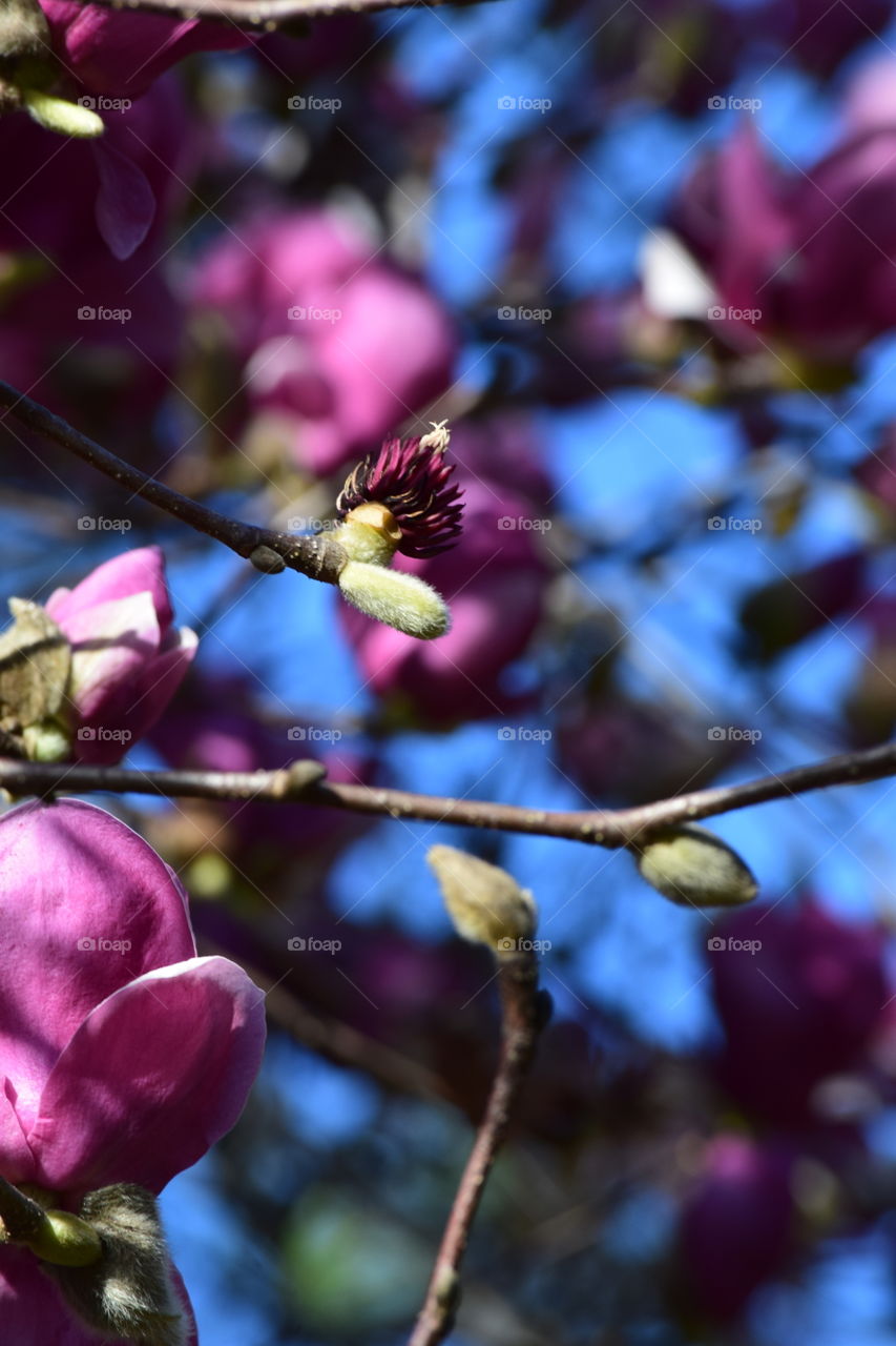Up close and Beautiful 