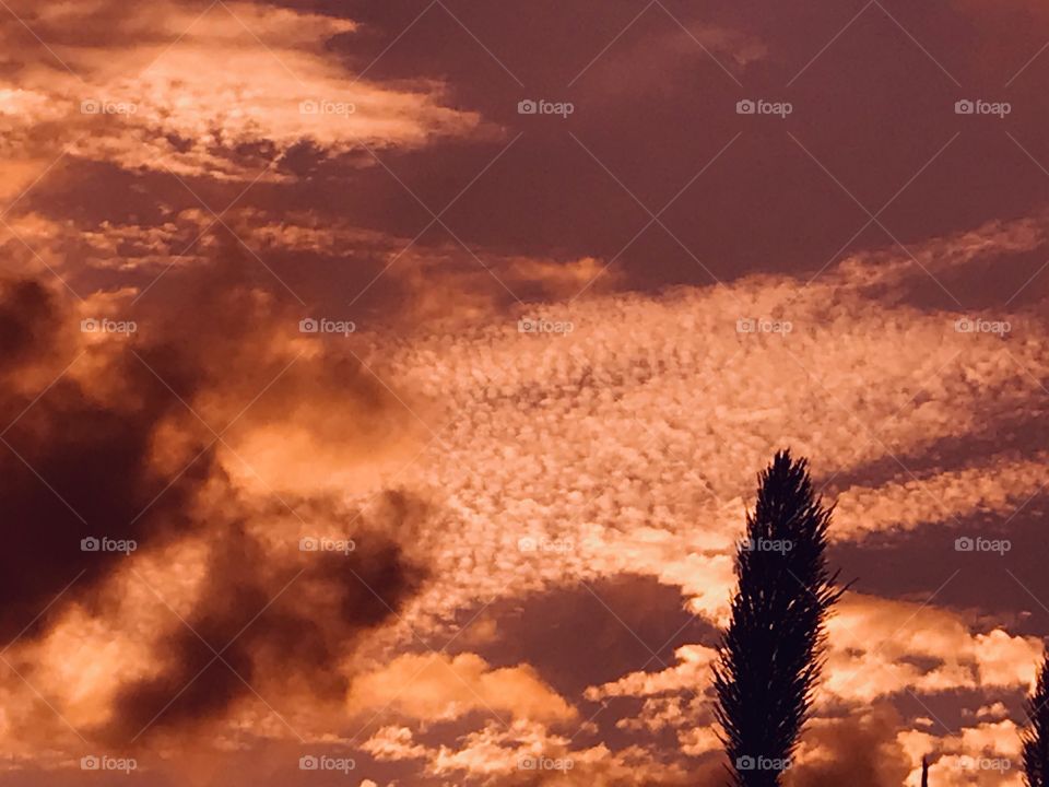 Today stiff south winds and toasty atmosphere being so cloudy with dark hues and the setting sun will bring this to a close Twilight will be swift into Night. 