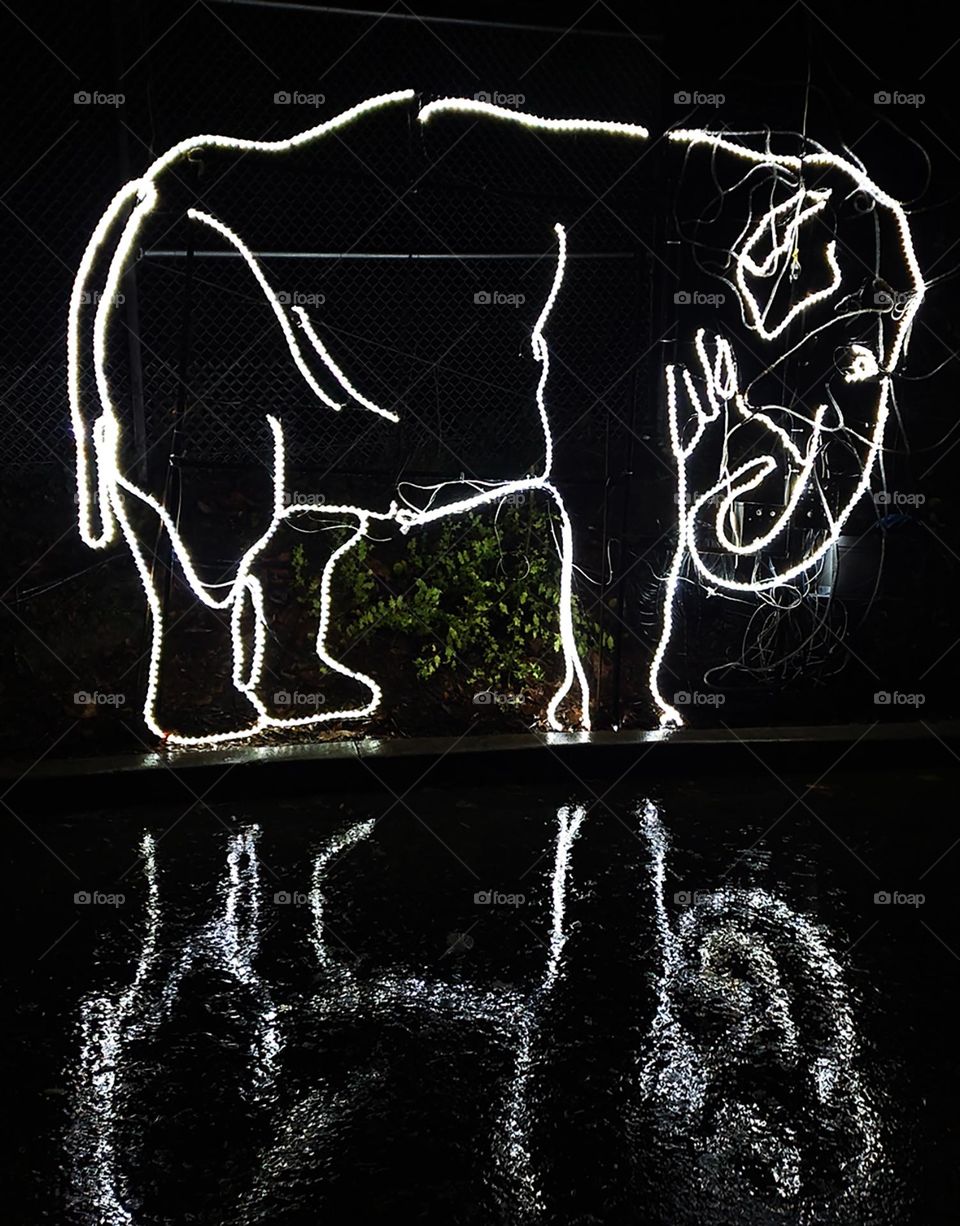 shimmering reflection of white elephant lights display on the rain-soaked ground at night in Oregon Zoo