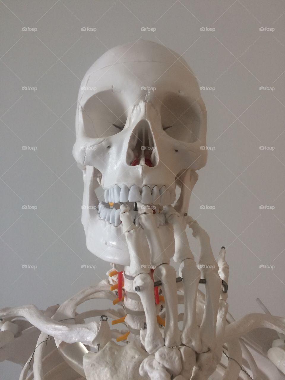 Scared skeleton 