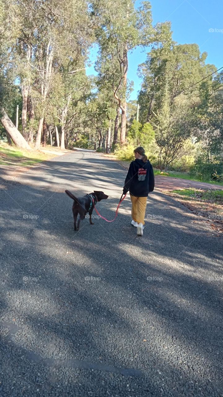 going on a walk with doggo