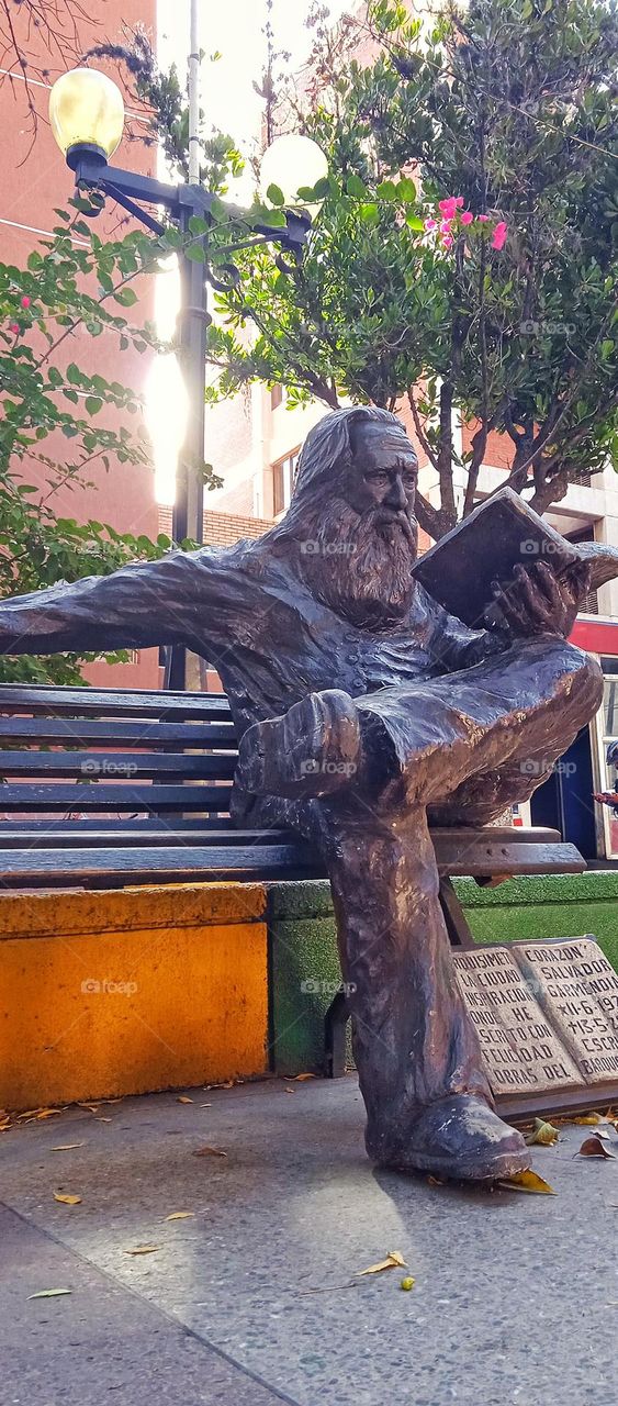 the old man reading 2