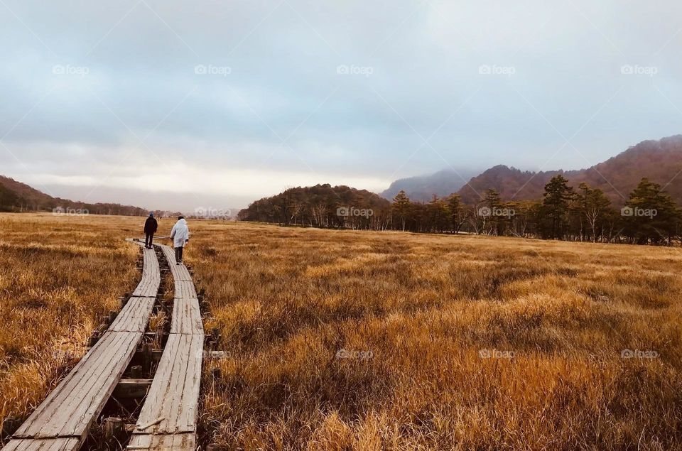 The Autumn palette is warm, rich, earthy and golden. It stretches from almost Springlike vibrant reds and oranges through to deepest sea blues and softest. Autumn is a second spring when every leaf is a flower.” . Autumn is a magical season.