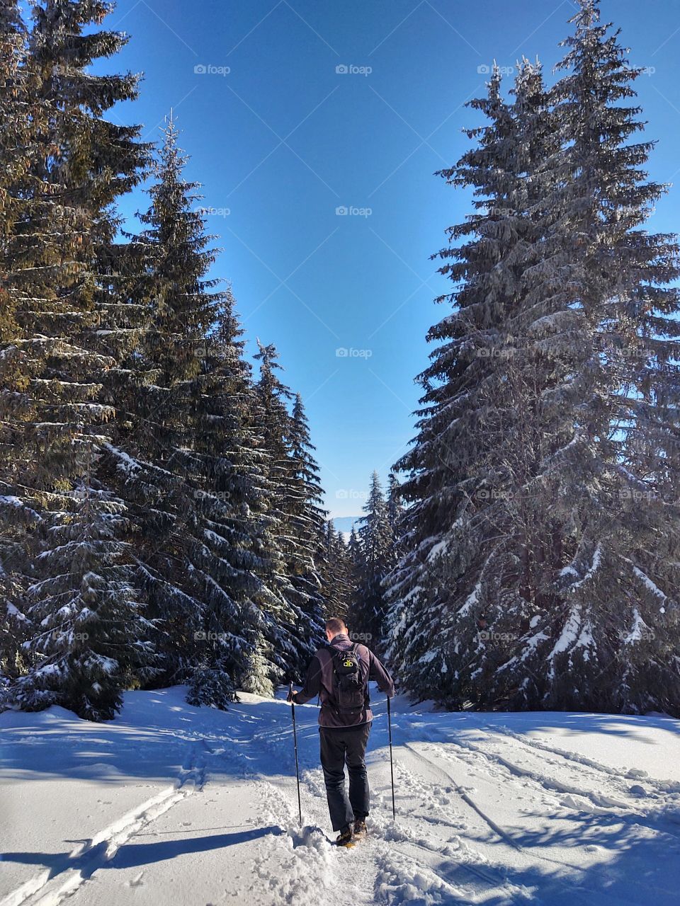 man walking in the forest during winter